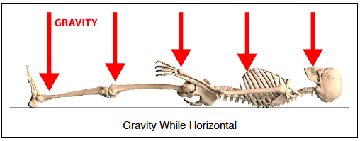 horizontal gravity exposure