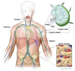 Lymphatic Drainage Massage - Why Do We Need It? 61