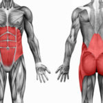 Not seeing results? Maybe you're training the WRONG muscles! 60