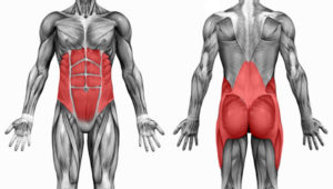 Not seeing results? Maybe you're training the WRONG muscles! 60