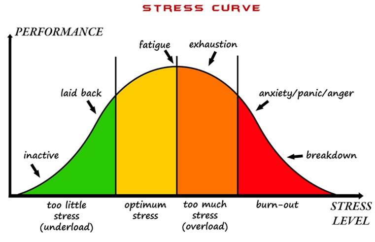 Prioritize Sleep to Handle Chronic Stress 2