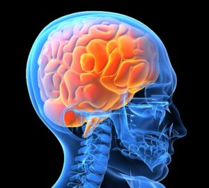 Do Placebos Really Work? Studies Show Amazing Effects 50