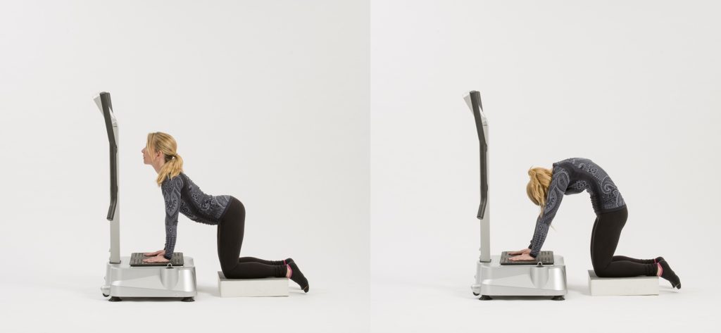 5 WBV Moves for Better Posture 4