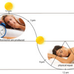 How the Lack of Sleep Affects Your Body 31