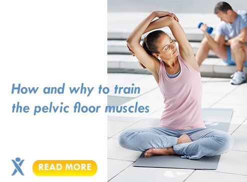 pelvic floor muscles training