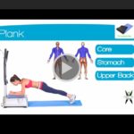 wbv machine exercise