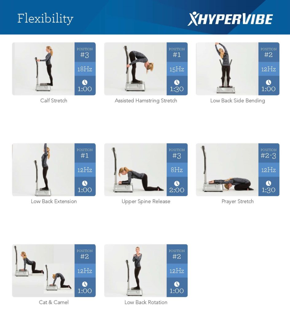 wbv exercises flexibility