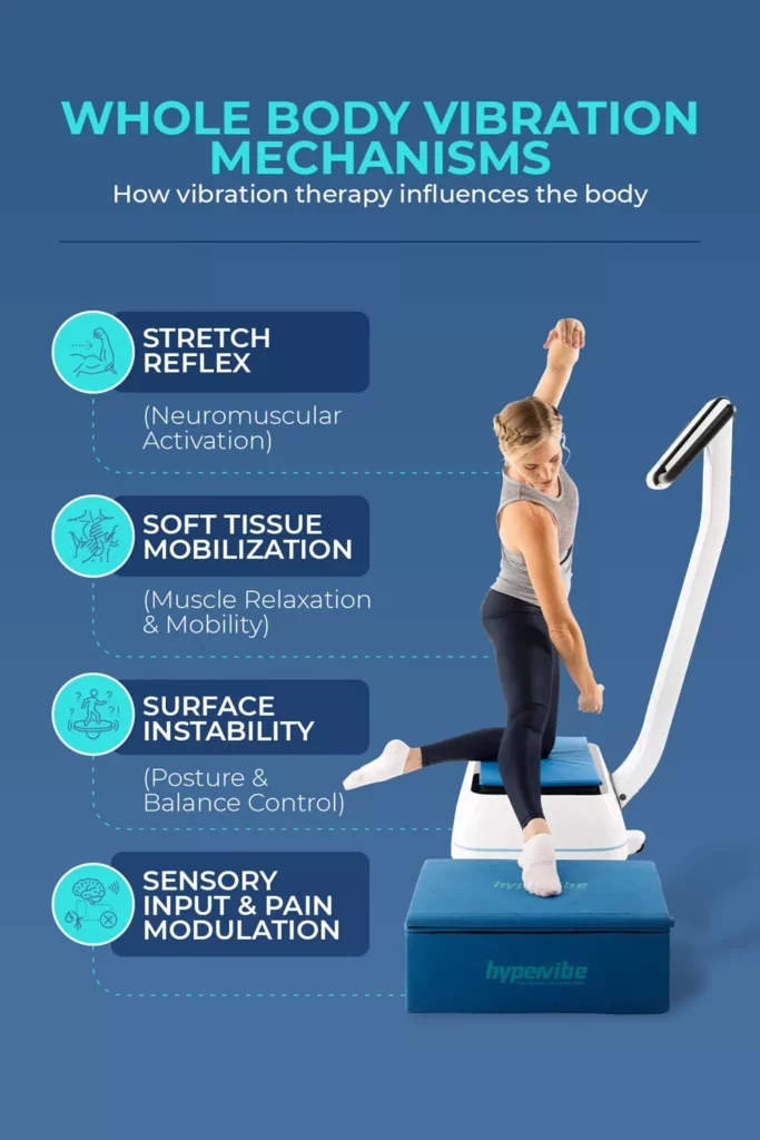 How To Use A Vibration Plate For Back Pain: Positions, Timings And Real-World Hypervibe Routines 7 Infographic explaining how vibration therapy influences the body through stretch reflex, soft tissue mobilization, surface instability, and sensory input.