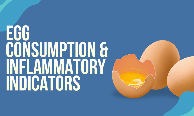 are eggs inflammatory