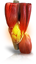 Gravity & Reflexes backup 5