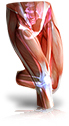Gravity & Reflexes backup 4
