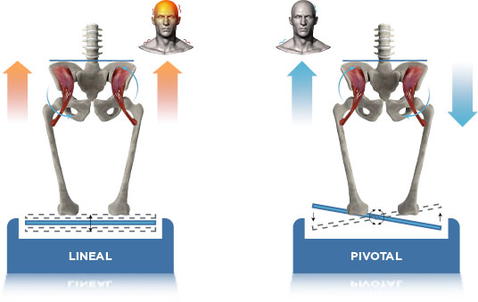 lineal pivotal img