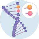 Genetics