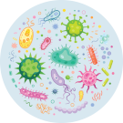 Infections
