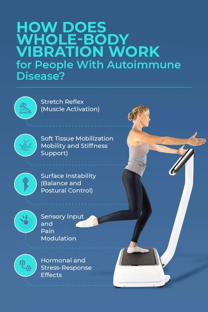 mechanisms of wbv for autoimmune health Diagram explaining how whole-body vibration works for autoimmune disease through muscle activation, stiffness support, and hormonal effects.