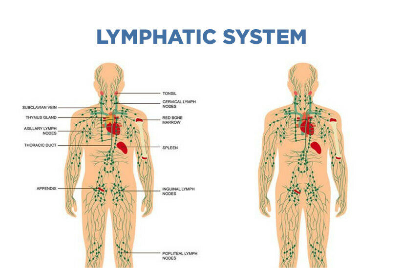 lymphatic massage side effects