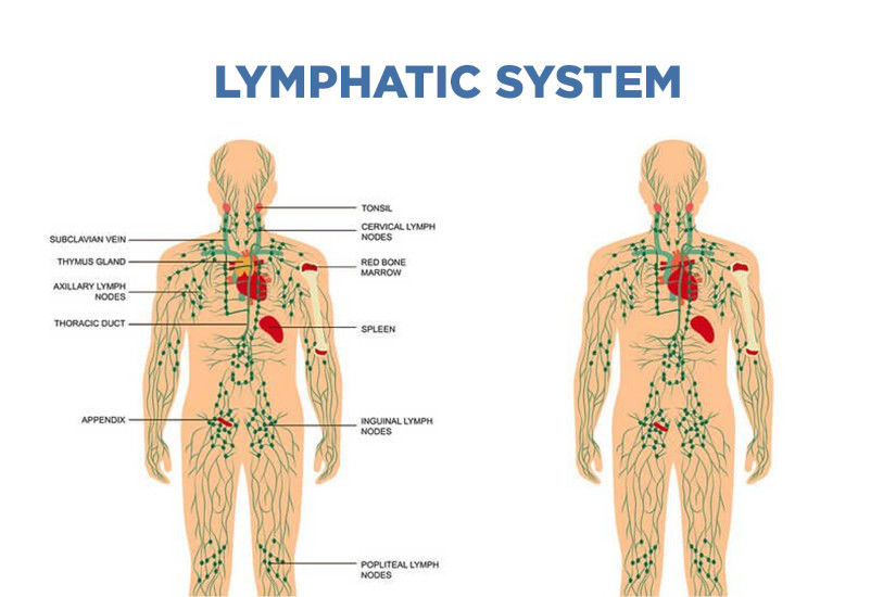 lymphatic massage side effects