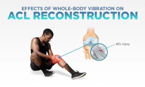 whole-body vibration for ACL reconstruction