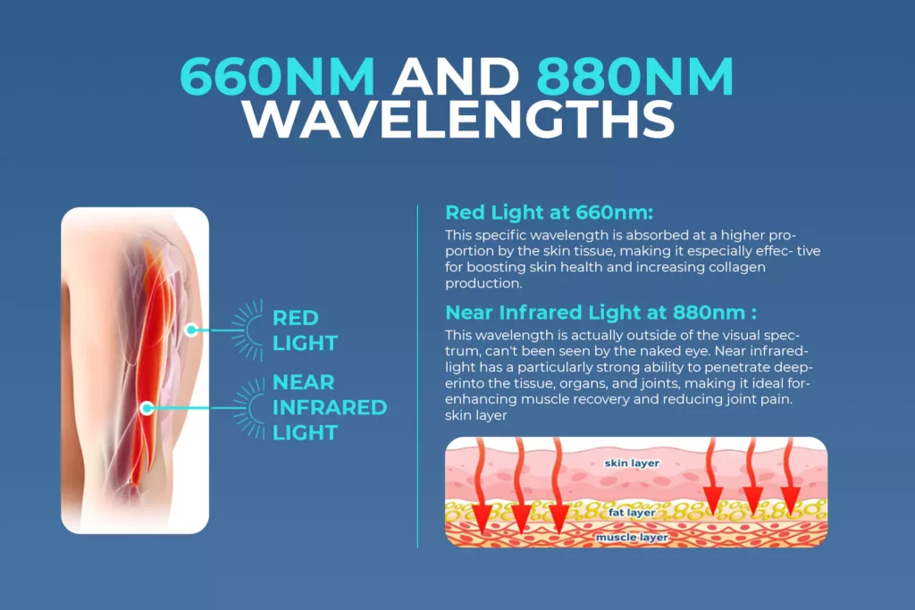 Illustration of red light wavelengths penetrating the fat layer