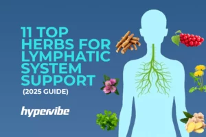 stylized woman and leaves, introducing the 11 best herbs for lymphatic system support