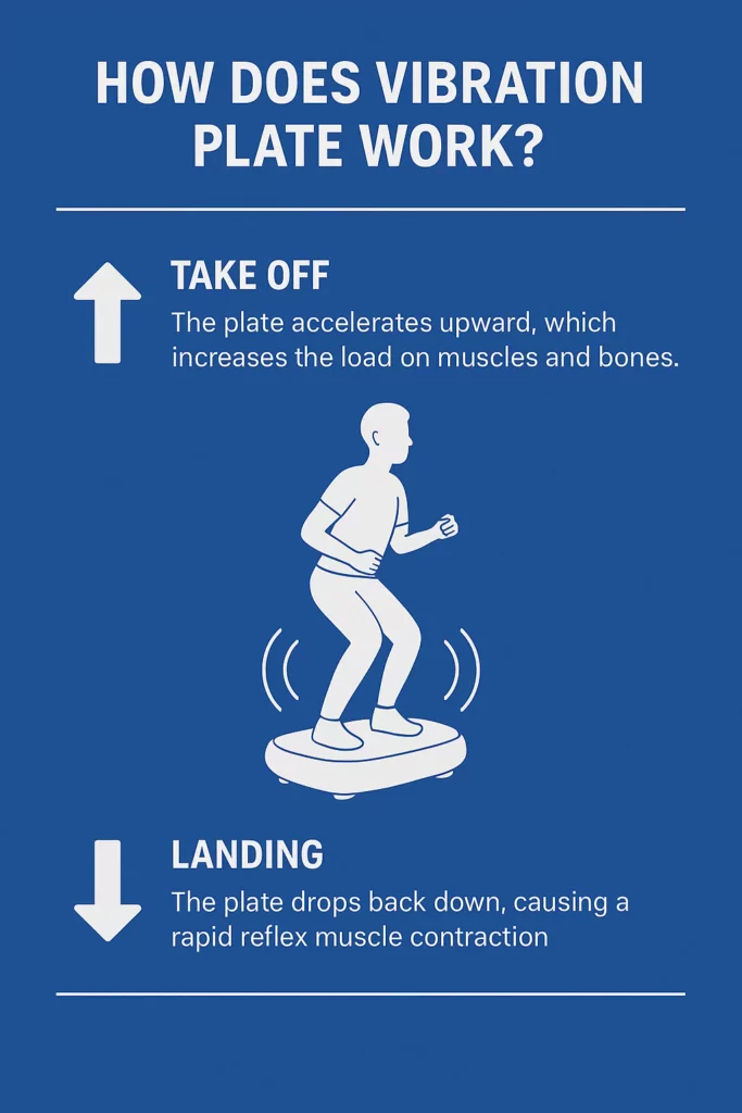 Simple Infographic showing (How Does Vibration Plate Work)