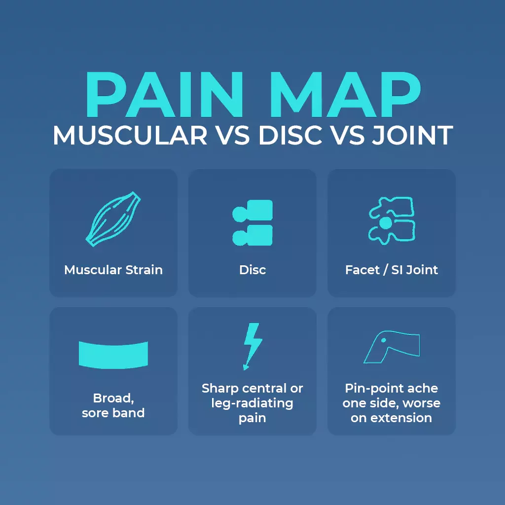 infographic on the pain map of lower back pain based on the cause