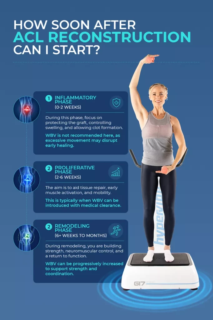 when to start whole body vibration after acl surgery Timeline infographic detailing the three healing phases after ACL reconstruction—inflammatory, proliferative, and remodeling—and when to safely start whole-body vibration therapy.